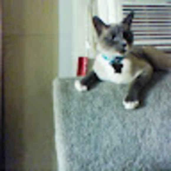 juleeannee70